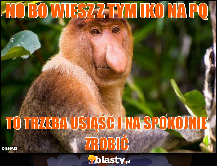 NO bo wiesz z tym IKO NA pq