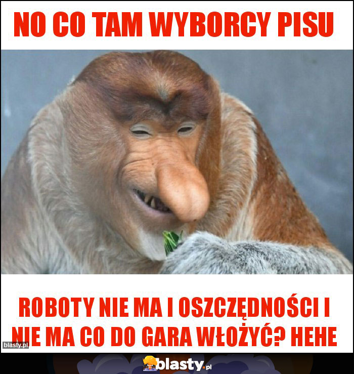 No co tam wyborcy PiSu