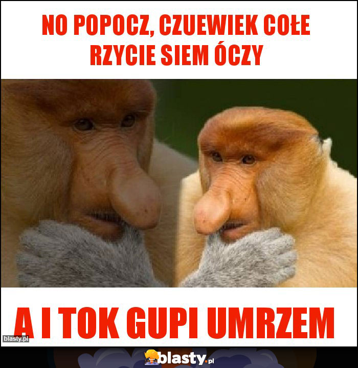 No popocz, czuewiek cołe rzycie siem óczy