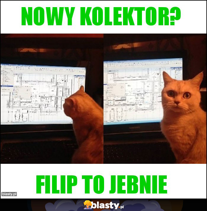 Nowy Kolektor?