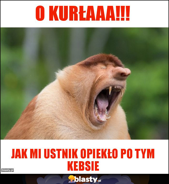 O kurłaaa!!!