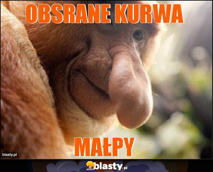 Obsrane kurwa