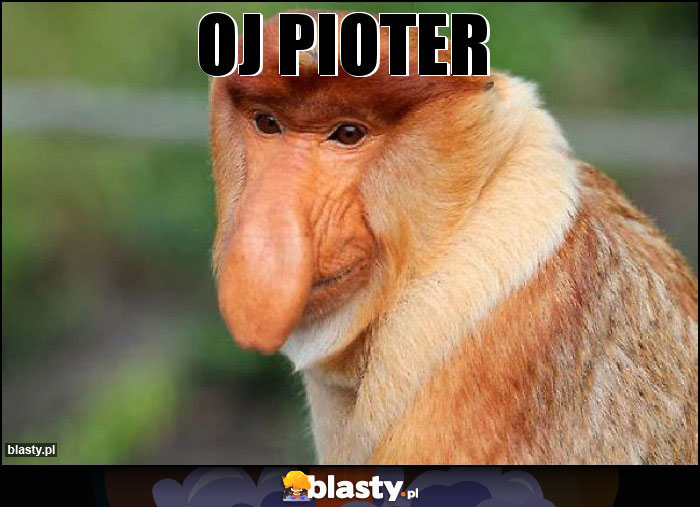 OJ PIOTER