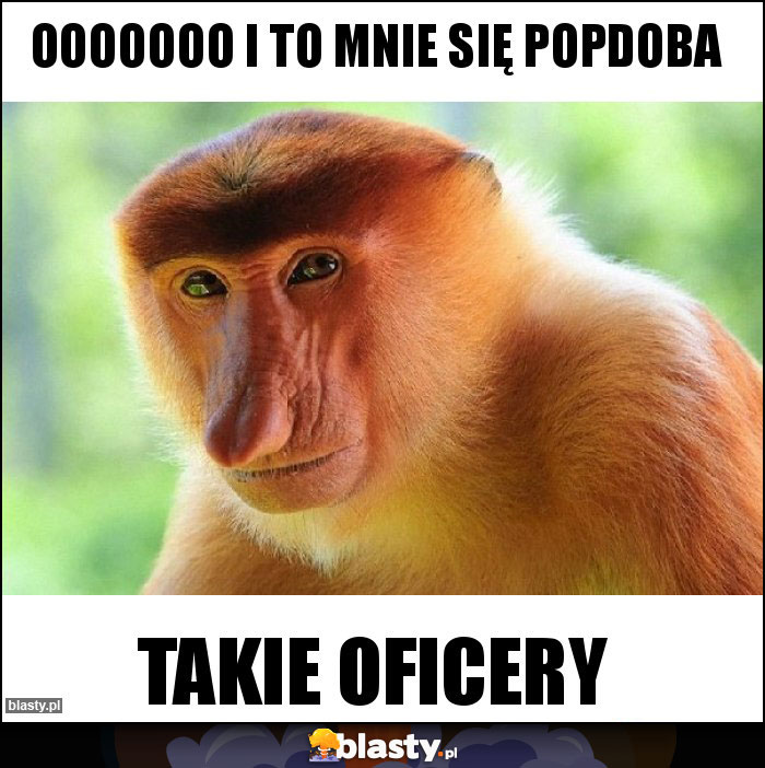 Ooooooo i to mnie się popdoba