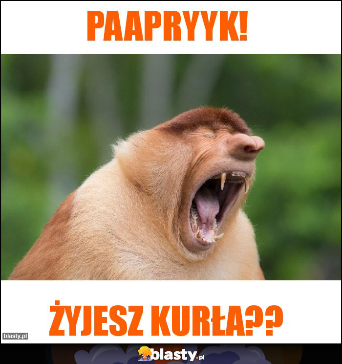 Paapryyk!