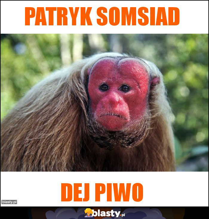 PATRYK SOMSIAD