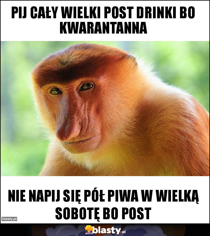 Pij cały wielki post drinki bo kwarantanna