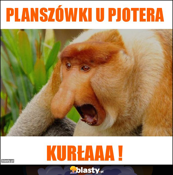 Planszówki u Pjotera