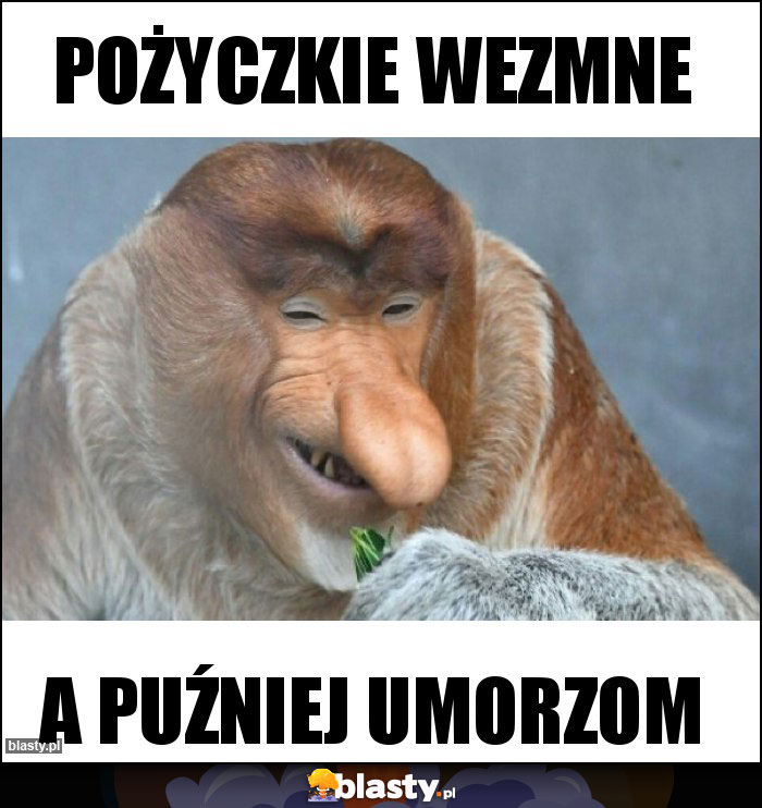 POŻYCZKIE WEZMNE