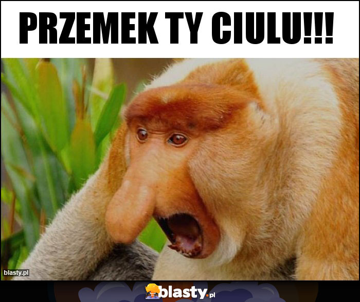 Przemek Ty Ciulu!!!