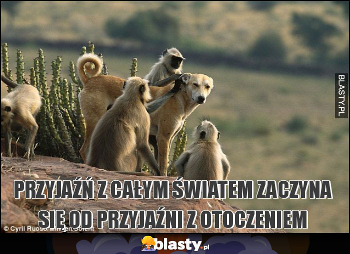 przyjaźń z całym światem zaczyna się od przyjaźni z otoczeniem