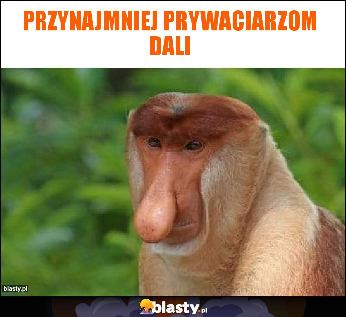 Przynajmniej prywaciarzom dali