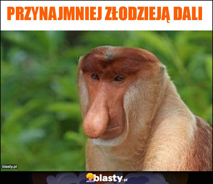 Przynajmniej złodzieją dali