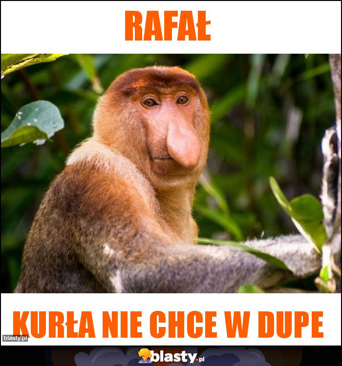 Rafał