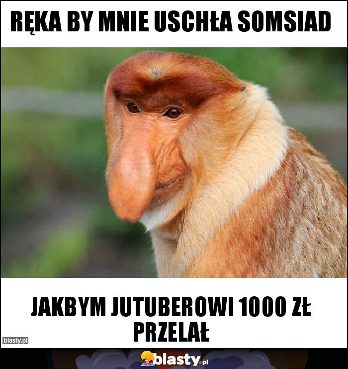 RĘKA BY MNIE USCHŁA SOMSIAD