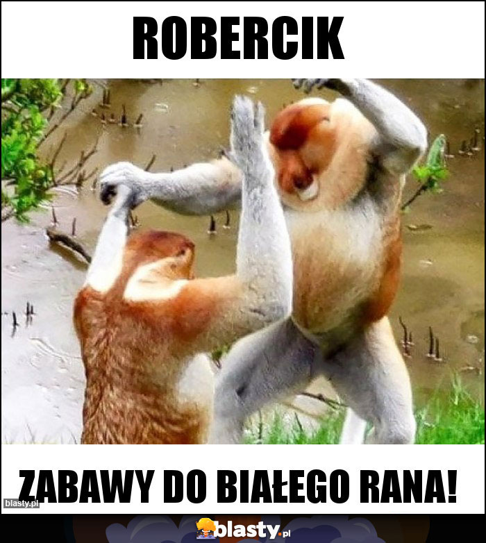 Robercik