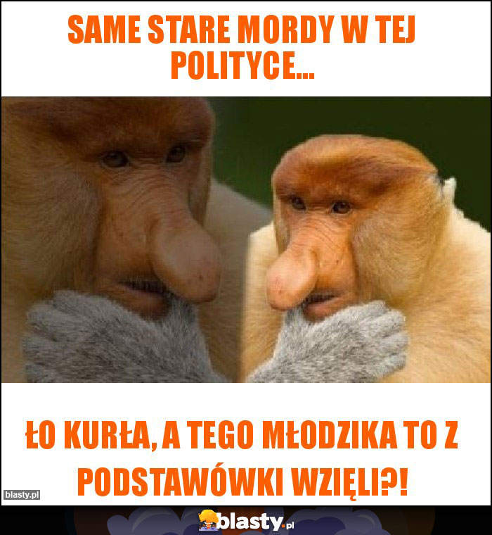 Same stare mordy w tej polityce...