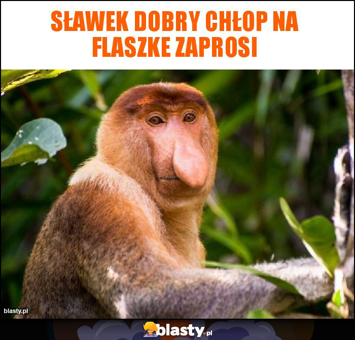 Sławek dobry chłop na flaszke zaprosi