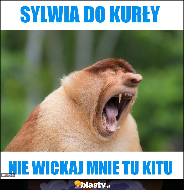 Sylwia do kurły