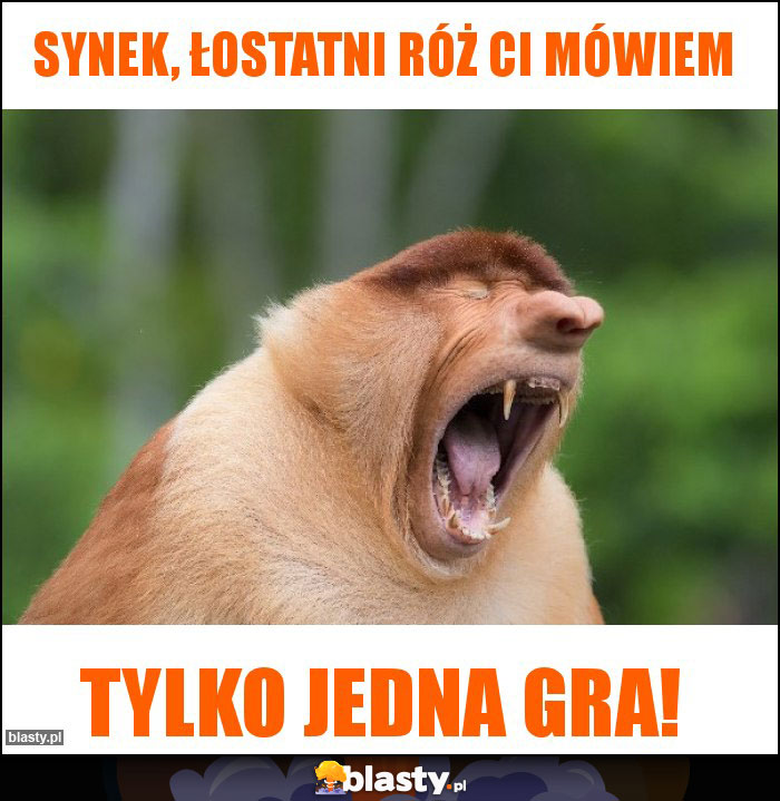 Synek, łostatni róż ci mówiem