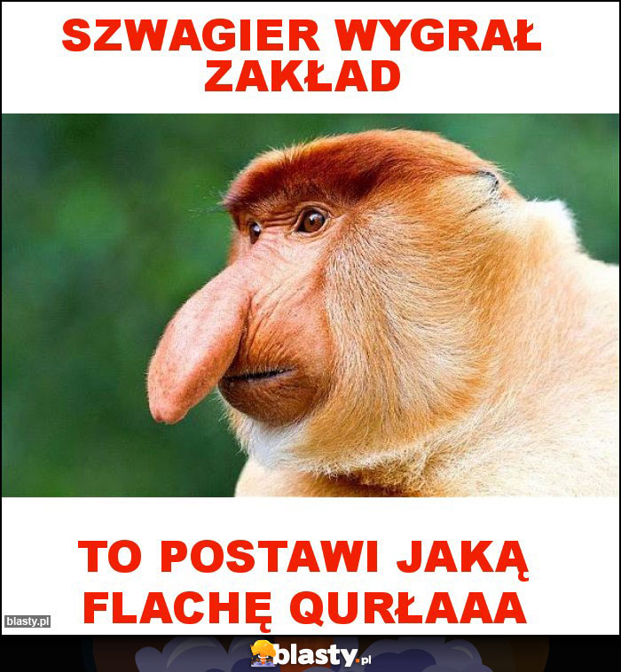 Szwagier wygrał zakład