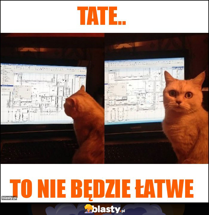 Tate..