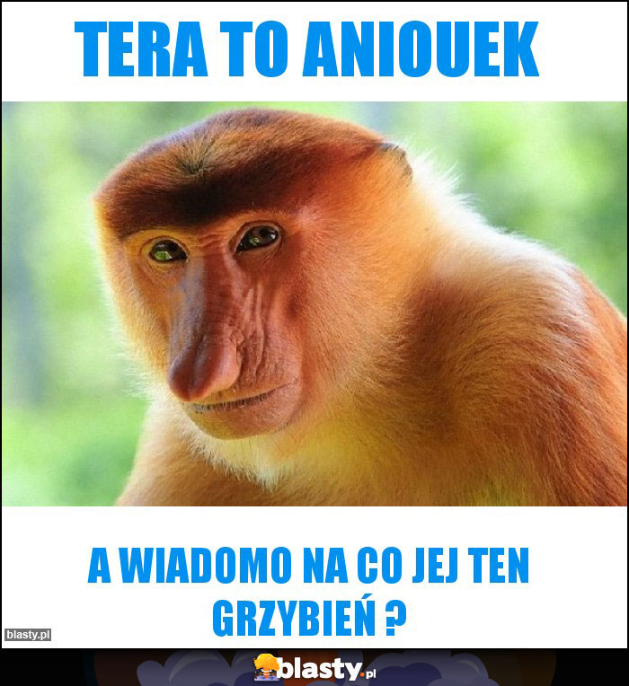 Tera to aniouek