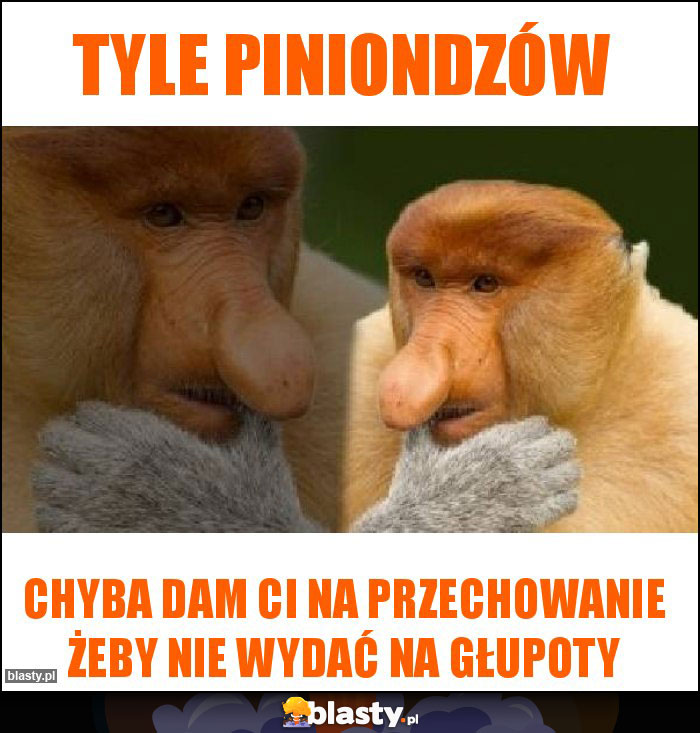 tyle piniondzów