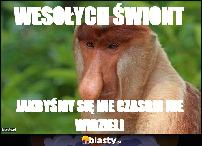 Wesołych świont