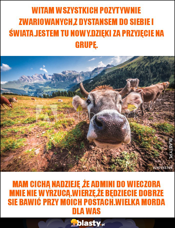 WITAM WSZYSTKICH POZYTYWNIE ZWARIOWANYCH,Z DYSTANSEM DO SIEBIE I ŚWIATA.jESTEM TU NOWY.DZIĘKI ZA PRZYJĘCIE NA GRUPĘ.