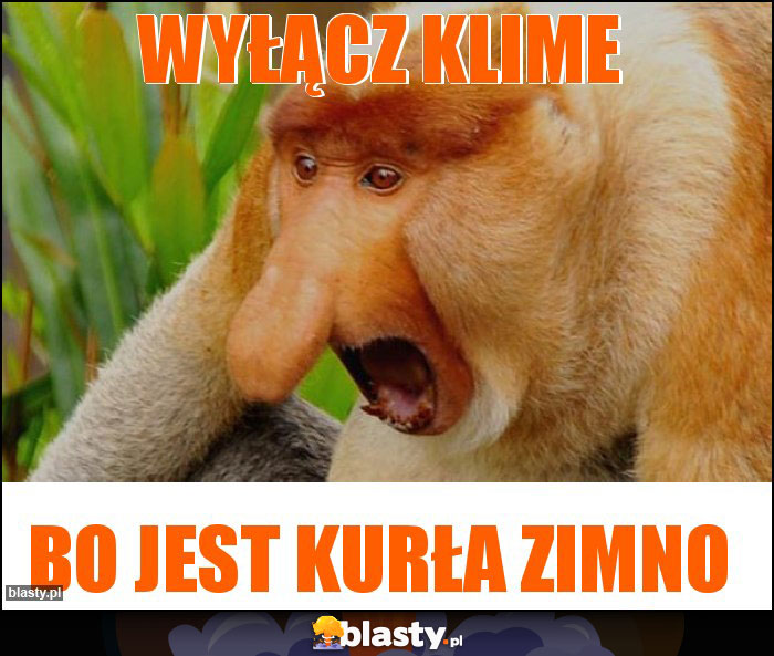 WYŁĄCZ KLIME