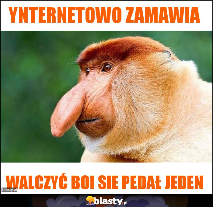 Ynternetowo zamawia