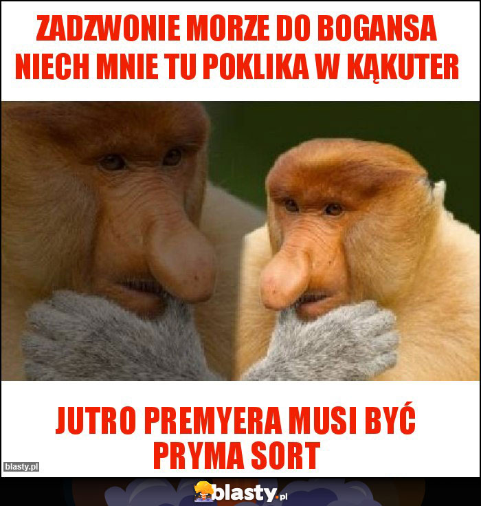 Zadzwonie morze do bogansa niech mnie tu poklika w kąkuter