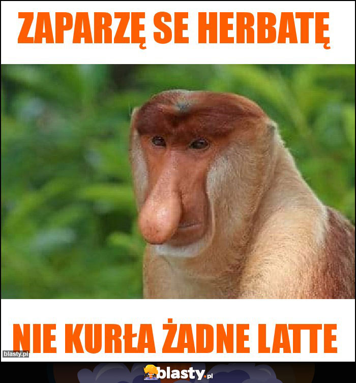 ZAPARZĘ SE HERBATĘ