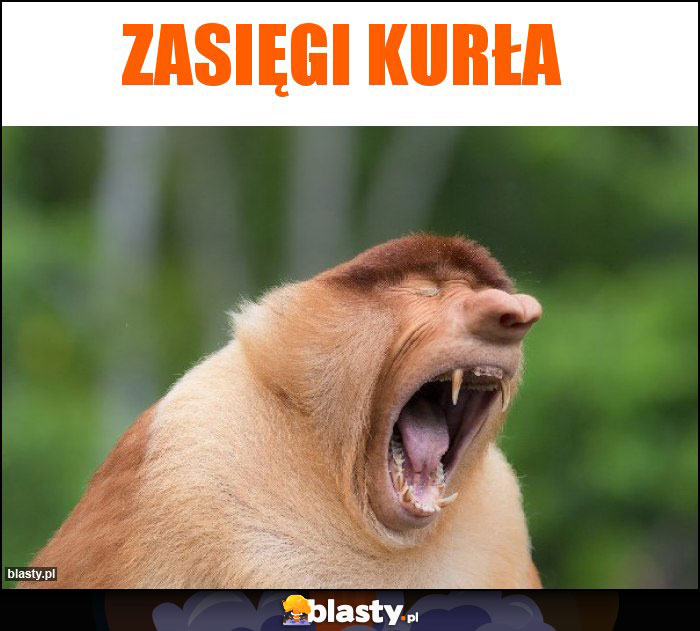 ZASIĘGI KURŁA