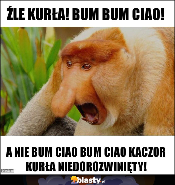 ŹLE Kurła! Bum bum ciao!