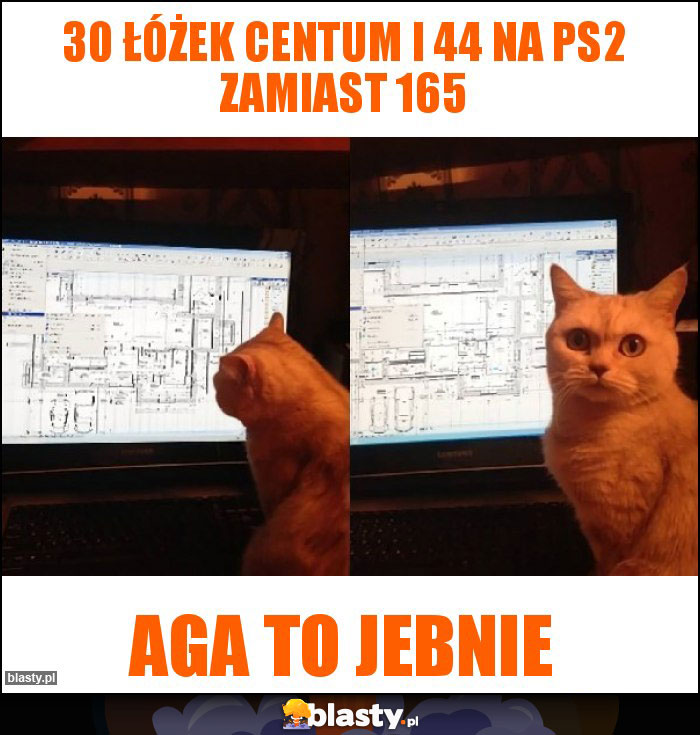 30 łóżek centum i 44 na PS2 zamiast 165