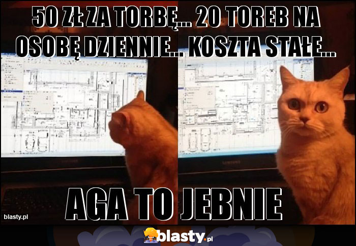 50 zł za torbę... 20 toreb na osobę dziennie... Koszta stałe...