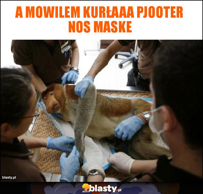 A mowilem kurłaaa pjooter nos maske