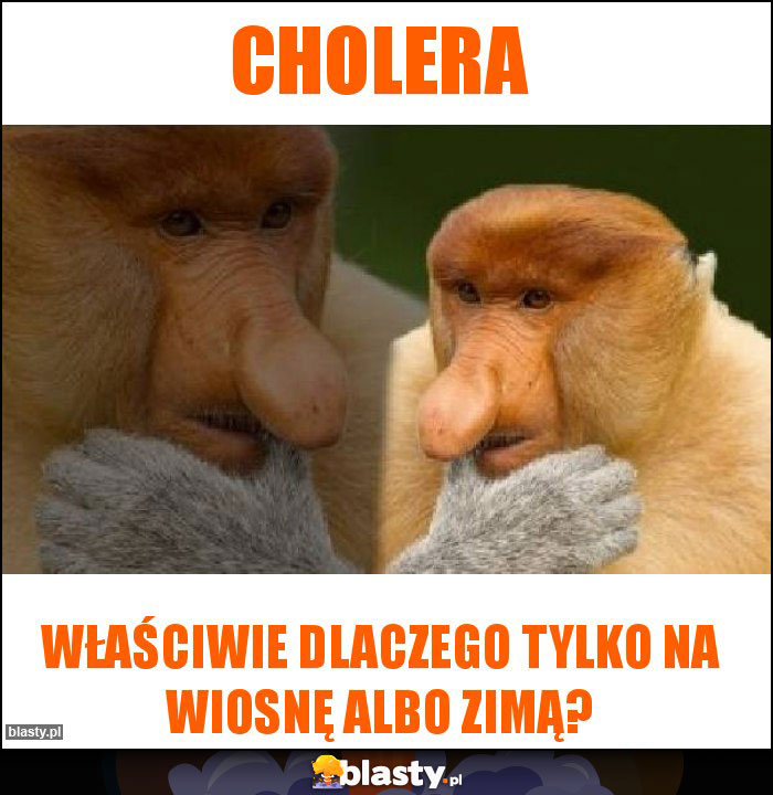 Cholera