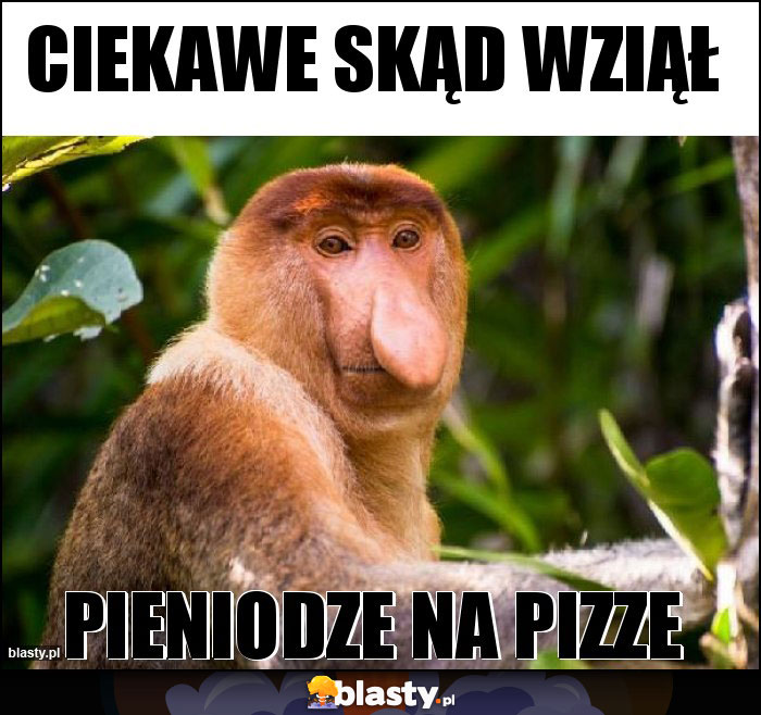 Ciekawe skąd wziął