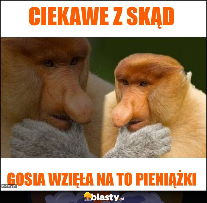 Ciekawe z skąd