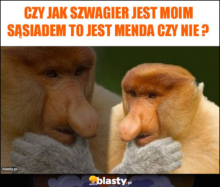 Czy jak szwagier jest moim sąsiadem to jest menda czy nie ?