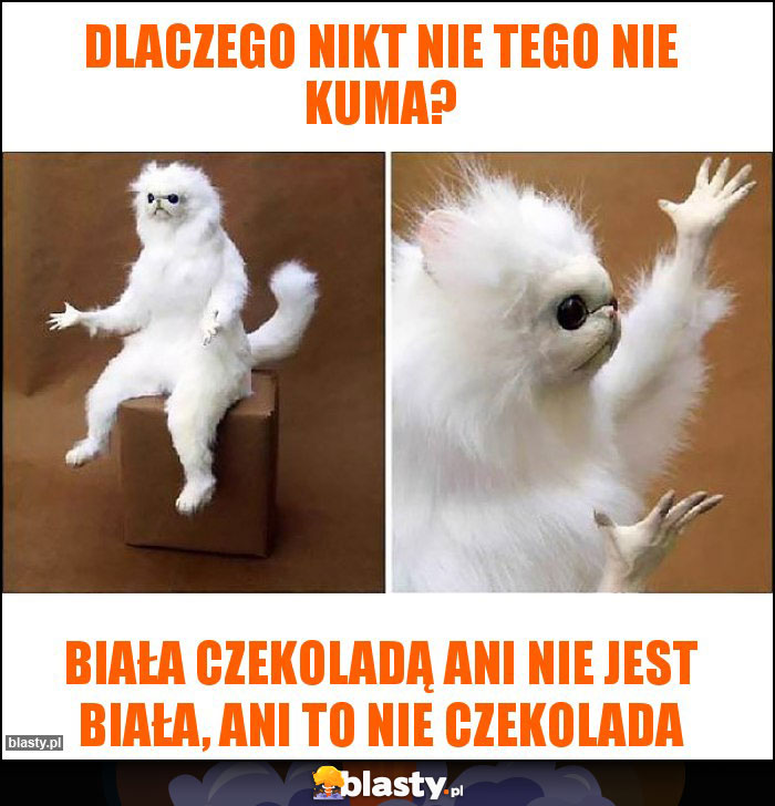 Dlaczego nikt nie tego nie kuma?