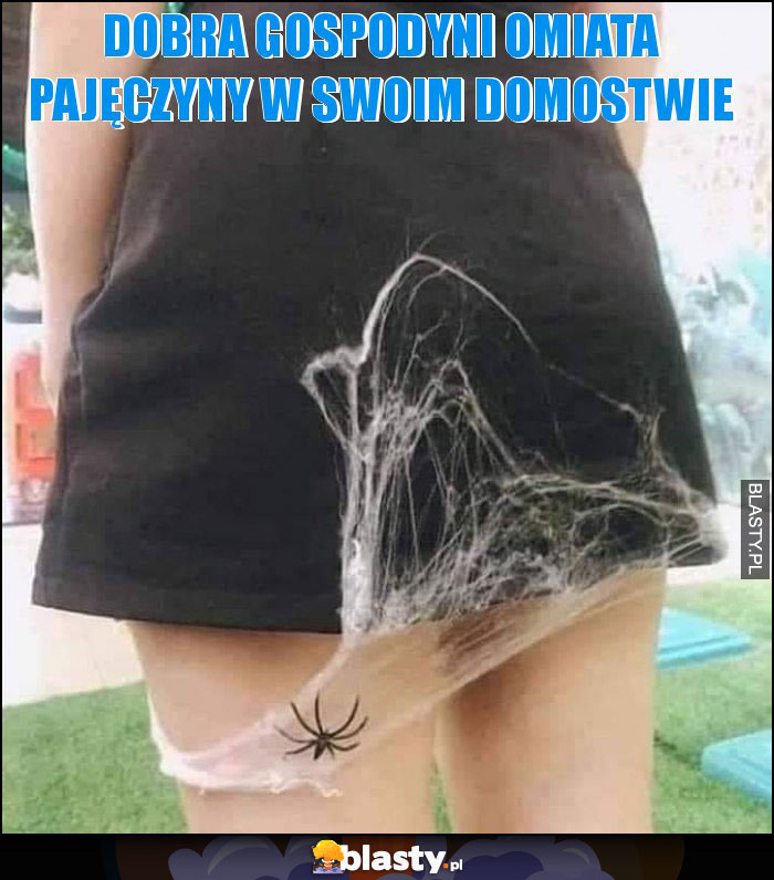 DOBRA GOSPODYNI OMIATA PAJĘCZYNY W SWOIM DOMOSTWIE