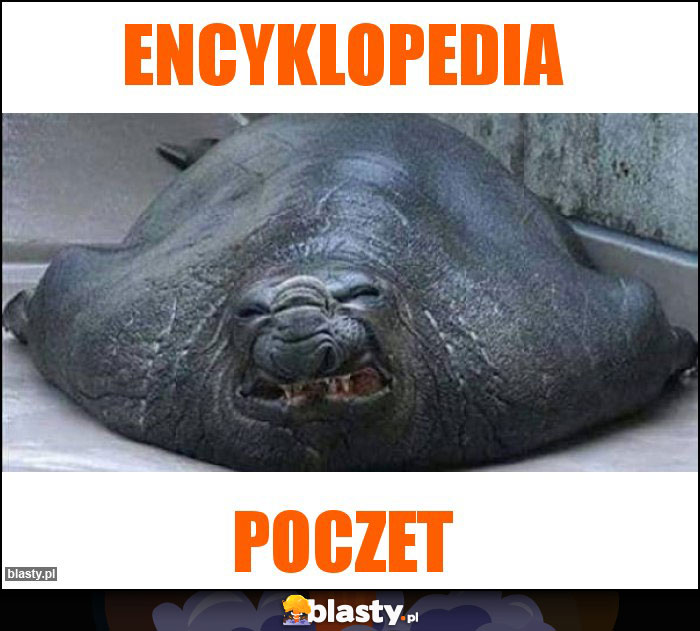 Encyklopedia