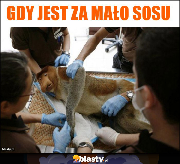 Gdy jest za mało sosu