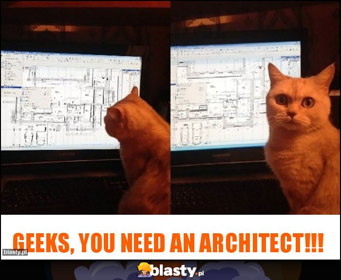 GEEKS, YOU NEED AN ARCHITECT!!!