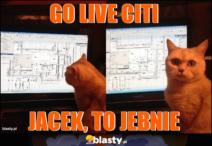 GO LIVE CITI