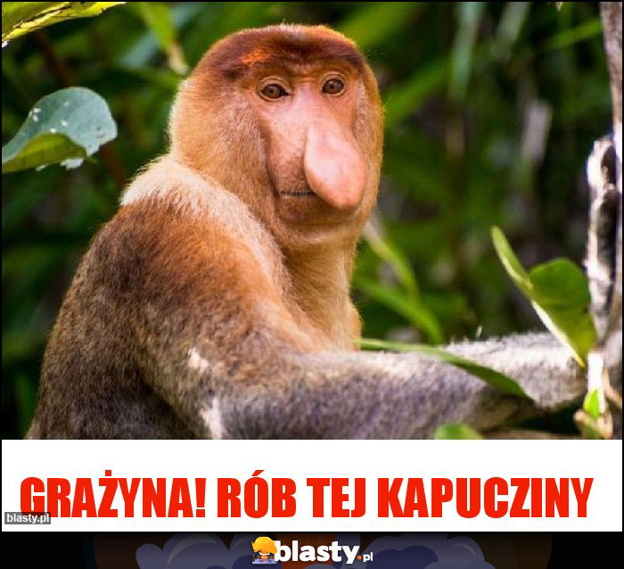 Grażyna! Rób tej kapucziny